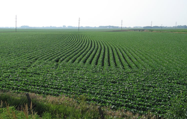 30 Facts about Illinois Farmland – Illinois Society of Professional Farm Managers and Rural Appraisers